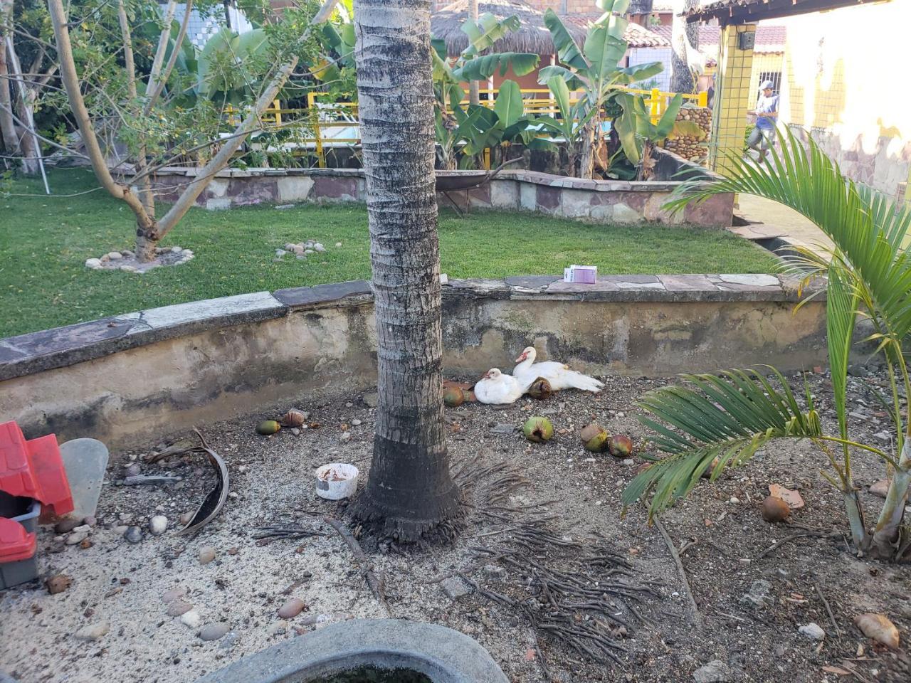 Itaparica - Vera Cruz 12 Pessoas Ngoại thất bức ảnh